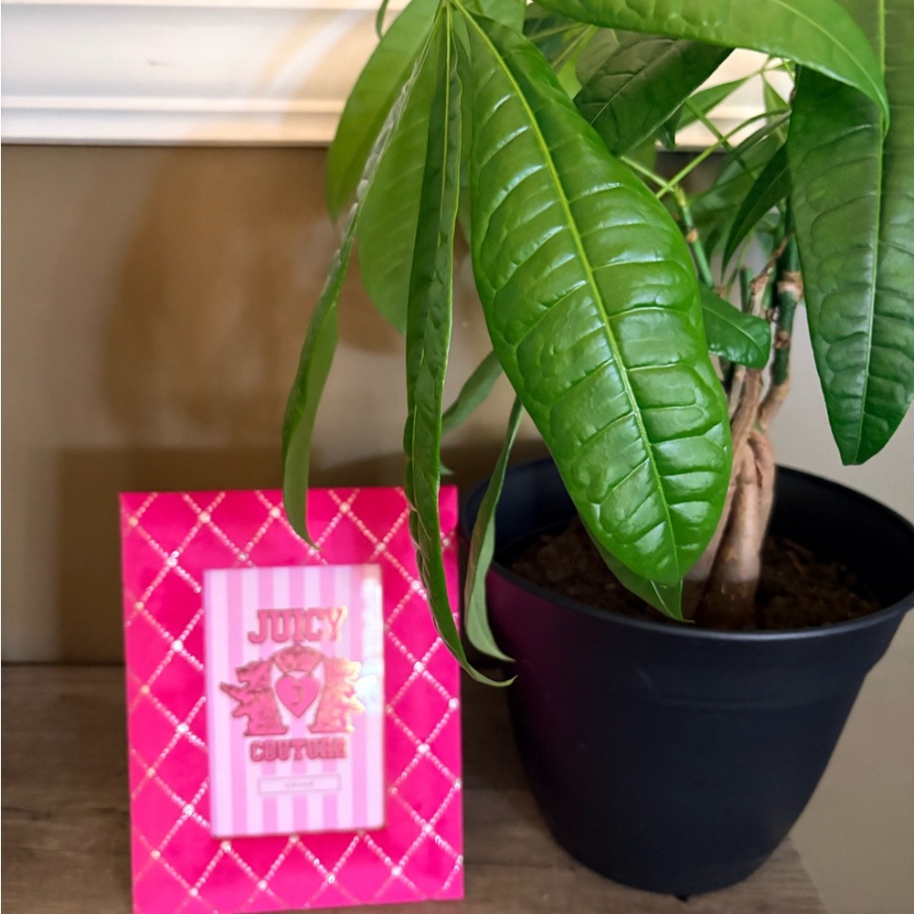 NWT 4x6 Juicy Couture Pink Quilted Photo Frame
